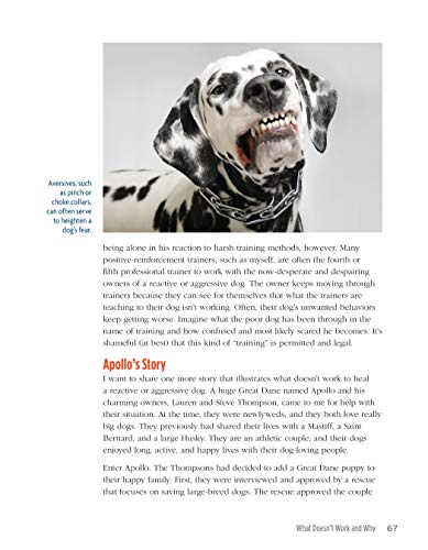 The Midnight Dog Walkers: Positive Training and Practical Advice for Living with Reactive and Aggressive Dogs (CompanionHouse Bo,Used