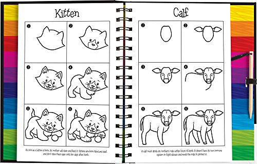 Scratch and Draw Animals,Used