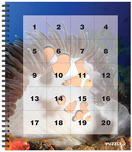 Brain Games Sticker by Number: Ocean Life (Easy Square Stickers): Create Beautiful Art With Easy to Use Sticker Fun!,Used