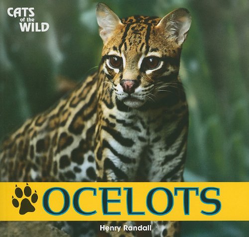 Ocelots (Cats of the Wild),Used