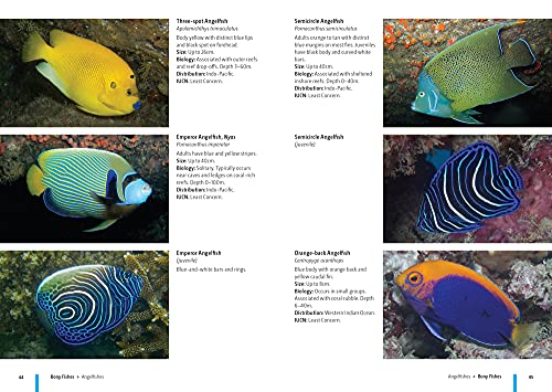 Reef Fishes of Seychelles,Used