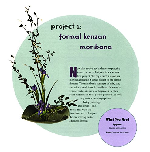 Ikebana: Create beautiful flower arrangements with this traditional Japanese art (Asian Arts and Crafts For Creative Kids),Used