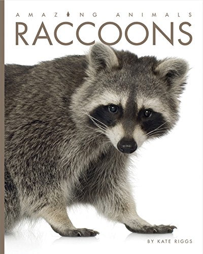 Amazing Animals: Raccoons