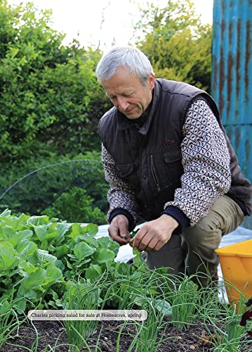 Salad Leaves for All Seasons: Organic Growing from Pot to Plot,Used