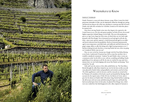 Vino: The Essential Guide To Real Italian Wine,Used