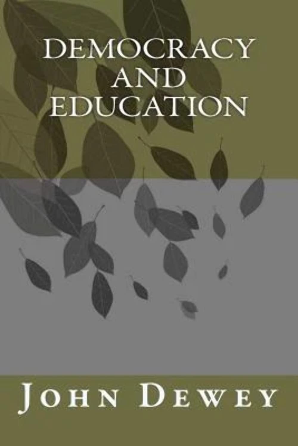 Democracy And Education,Used
