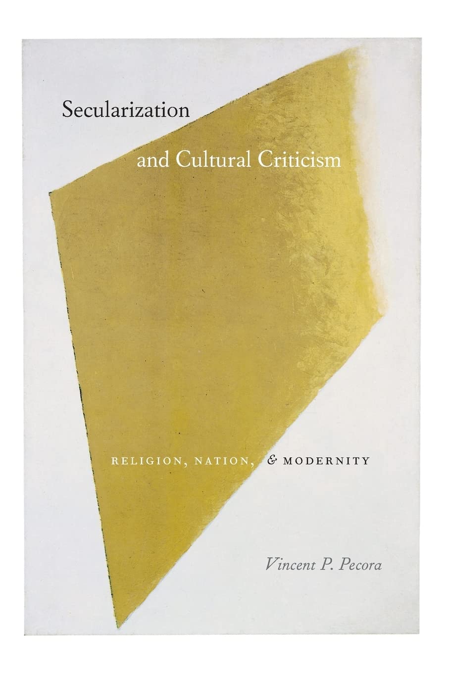 Secularization and Cultural Criticism: Religion, Nation, and Modernity (Religion and Postmodernism),Used