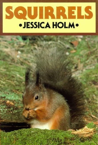 Squirrels,Used
