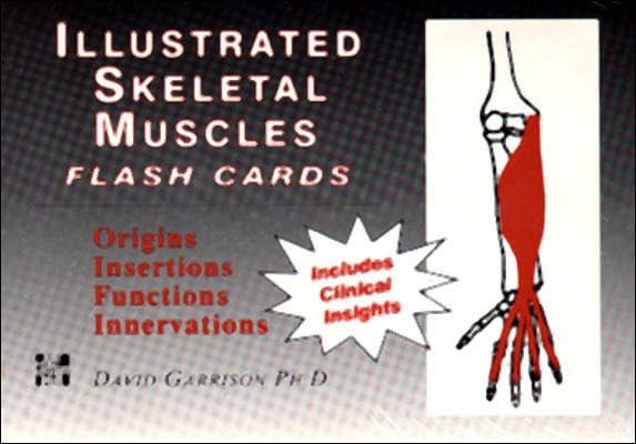 Illustrated Skeletal And Muscle Flash Cards,Used