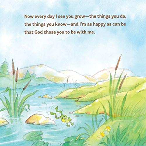 You're My Dream Come True: Building a Family Through Pregnancy, Adoption, and Foster,Used