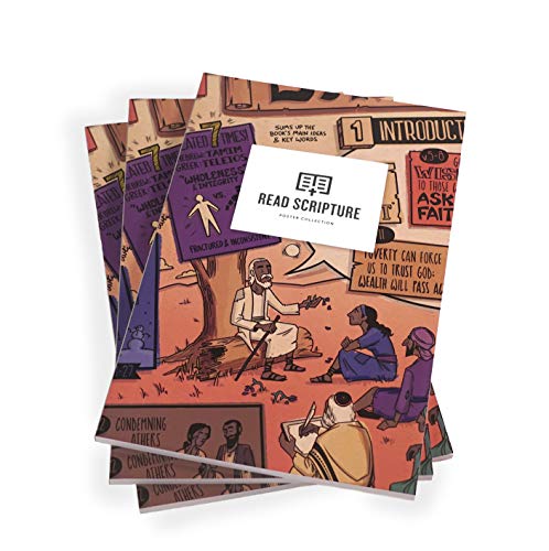 BibleProject Poster Collection Book,Used