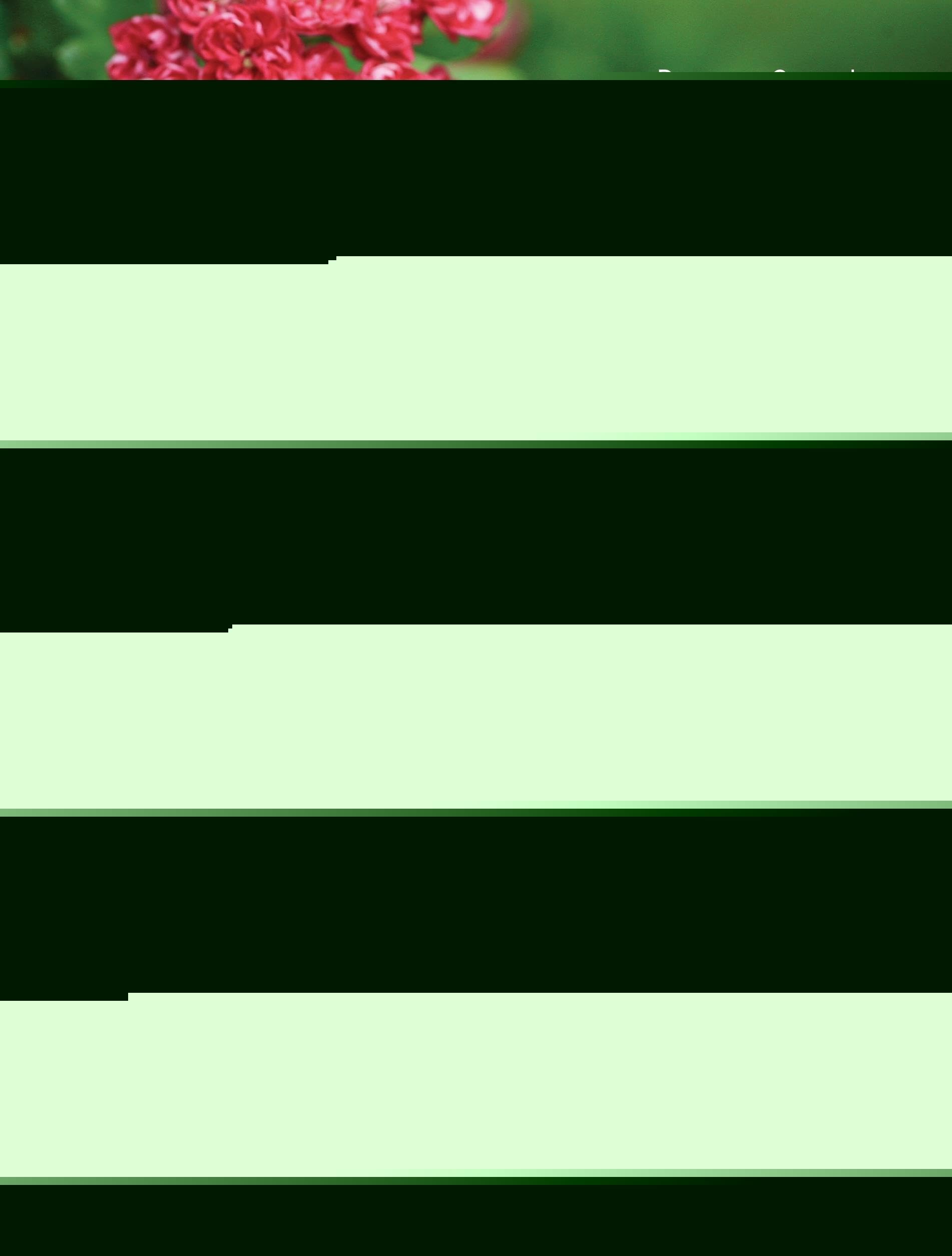 The Complete Guide To Compact Trees And Shrubs,Used