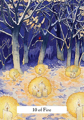 The Witches' Wisdom Tarot (Deluxe Keepsake Edition): A 78Card Deck and Guidebook,Used
