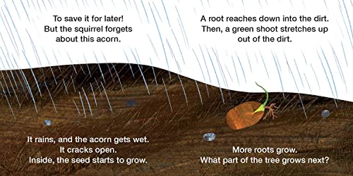 How Does A Seed Sprout?: Life Cycles With The Very Hungry Caterpillar (The World Of Eric Carle)-new