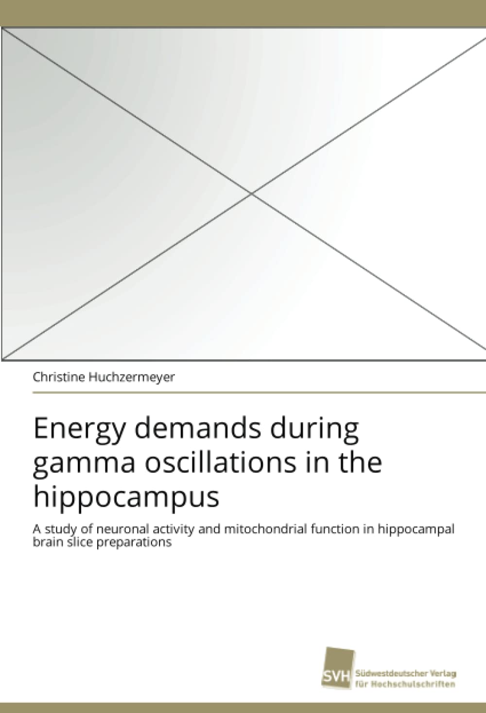 Energy demands during gamma oscillations in the hippocampus: A study of neuronal activity and mitochondrial function in hippocam,Used