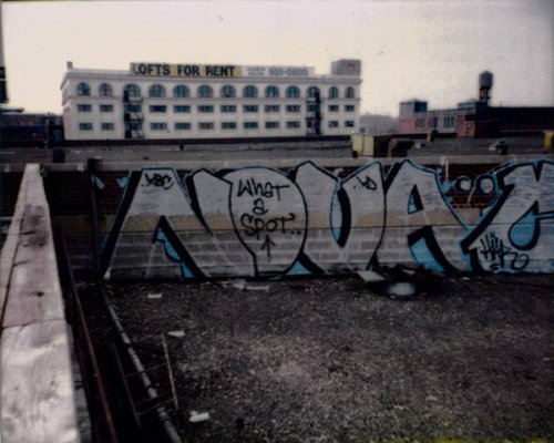 Vandal Squad: Inside the New York City Transit Police Department, 19842004,Used