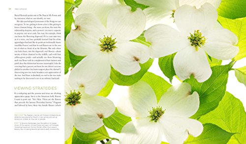 Seeing Trees: Discover the Extraordinary Secrets of Everyday Trees (Seeing Series),New