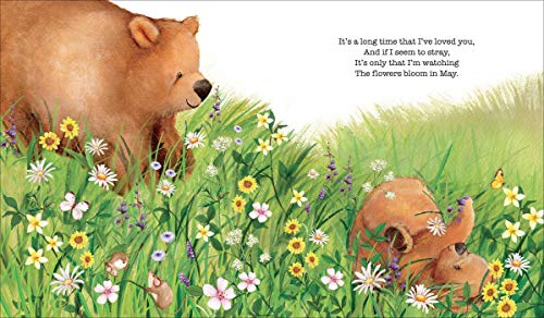 A Long Time That I've Loved You (Margaret Wise Brown Classics),Used