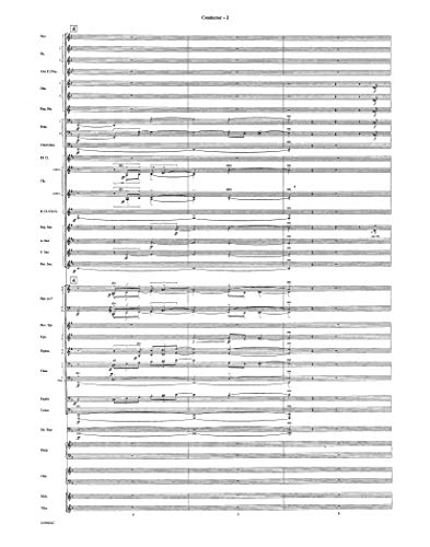 Toccata and Fugue in d Minor, Bwv 565: Score and Parts (The Donald Hunsberger Wind Library),Used