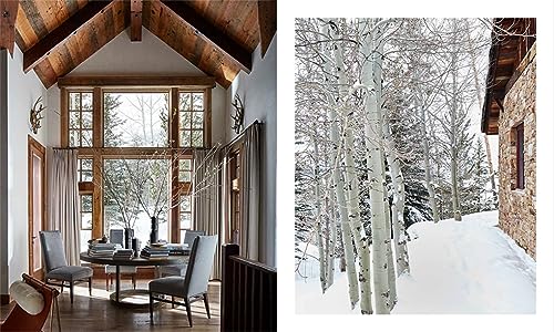 Natural Elegance: Luxurious Mountain Living,Used