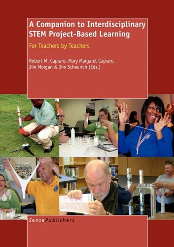 A Companion To Interdisciplinary Stem Projectbased Learning,Used