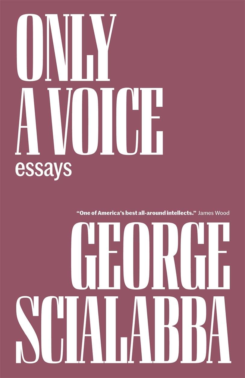 Only A Voice: Essays,Used