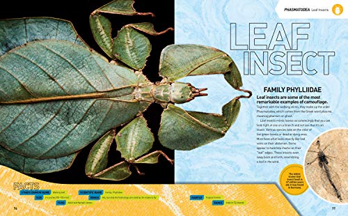 Ultimate Bugopedia: The Most Complete Bug Reference Ever (National Geographic Kids),Used
