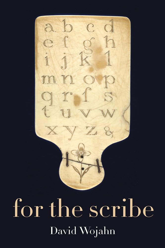 For the Scribe (Pitt Poetry Series),Used