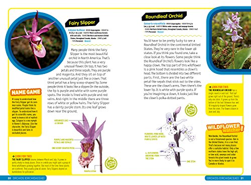 Ultimate Explorer Field Guide: Wildflowers,Used