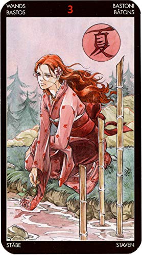 Manga Tarot (English and Spanish Edition),Used