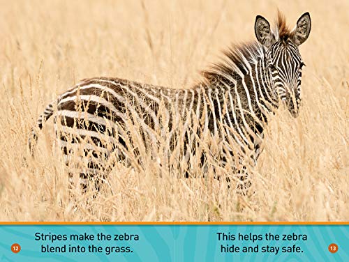 A Zebra's Day (National Geographic Kids Readers, PreReader),Used
