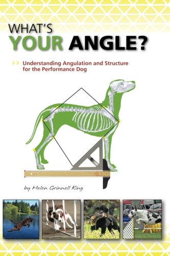 Whats Your Angle: Understanding Angulation and Structure for the Performance Dog,Used