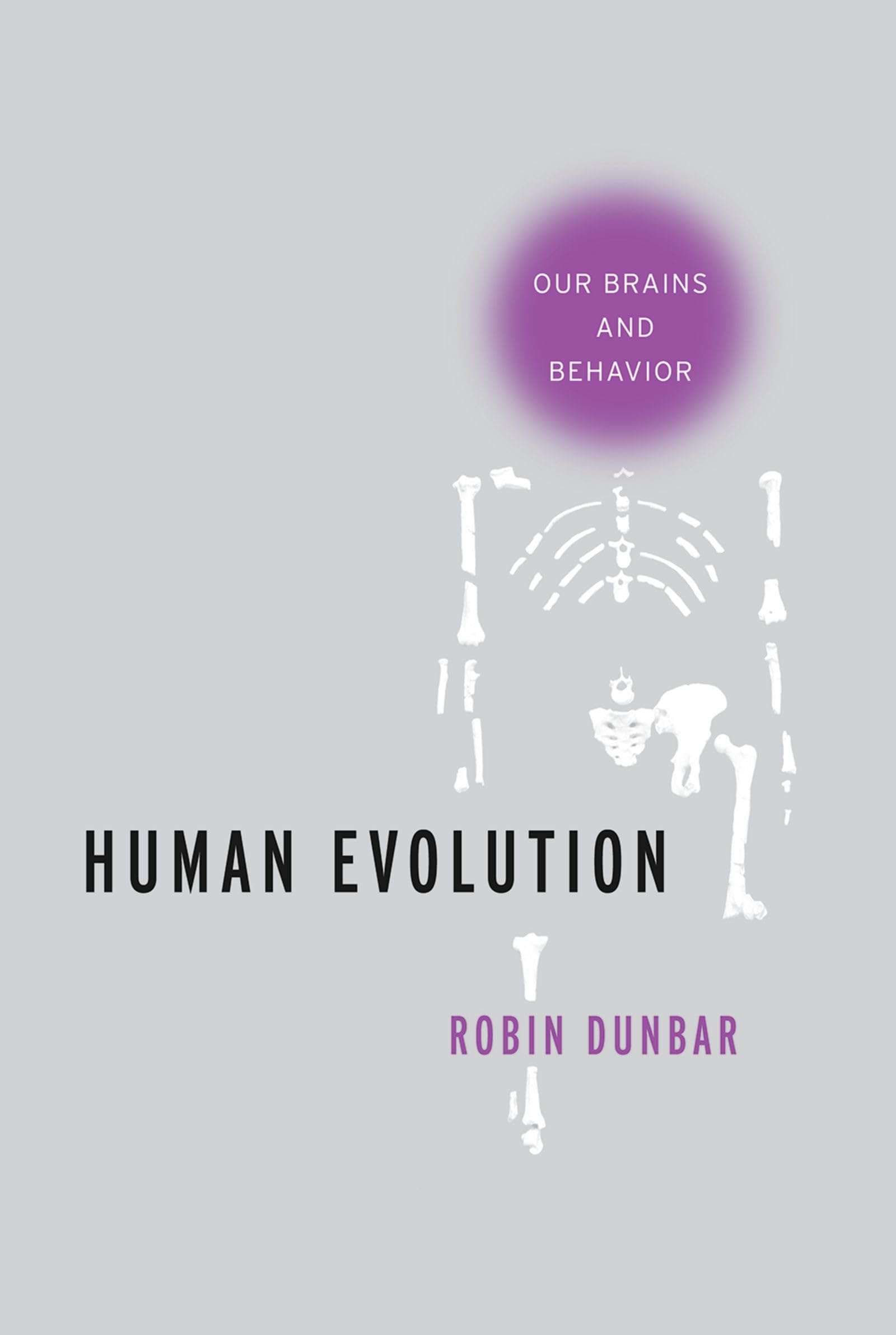 Human Evolution: Our Brains And Behavior