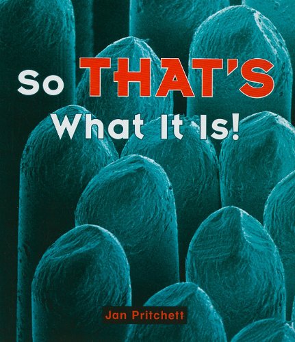 Student Reader Grade 1 (Level 7): That's What It Is (Rigby Literacy, Level 7),Used