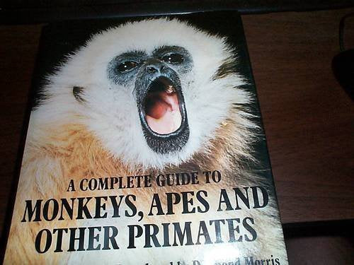 A Complete Guide to Monkeys, Apes and Other Primates,Used