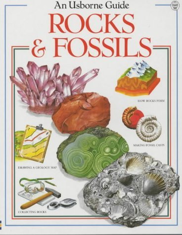 Rocks and Fossils,Used