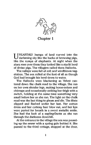 National Velvet (Dover Children's Evergreen Classics),Used