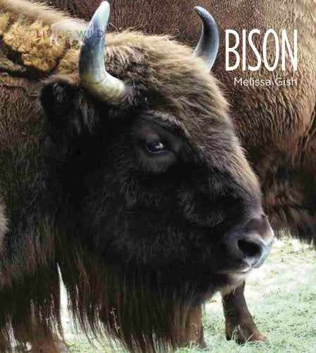 Living Wild: Bison