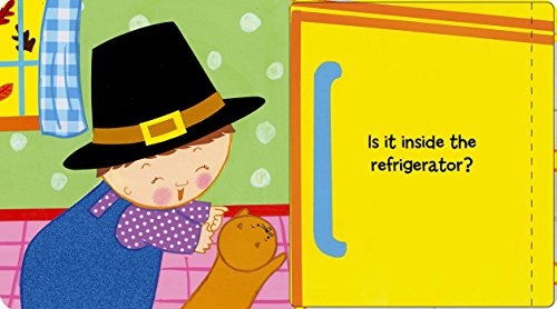 Where Is Baby'S Turkey?: A Karen Katz Lifttheflap Book (Karen Katz Lifttheflap Books),Used