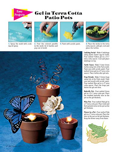 Gel Candles 101: Create Spectacular Clear Gel Wax Candles (Design Originals) Basic Instructions for Faux Drink Candles, Whipped ,Used