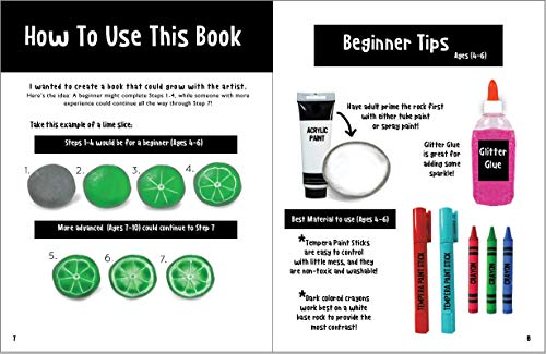 Scribble Stones Art Guide: Step by Step Painting Techniques and Tricks,Used
