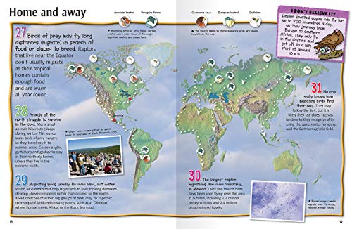 100 Facts Birds of Prey: Projects, Quizzes, Fun Facts, Cartoons,Used