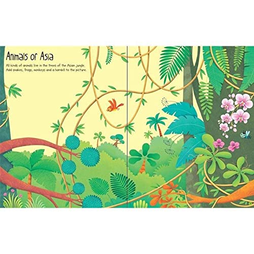 Jungle (Usborne First Sticker Book),Used