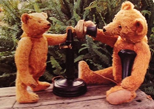 Teddy Bears Past and Present: A Collector's Identification Guide,Used