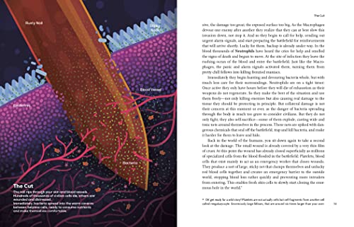 Immune: A Journey Into The Mysterious System That Keeps You Alive,Used
