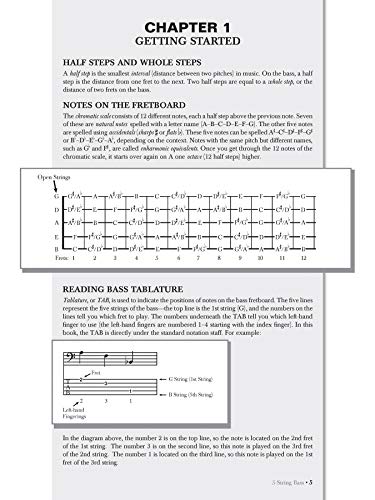 5String Bass: Taking Your Playing to New Lows, Book & Online Audio (National Guitar Workshop),Used