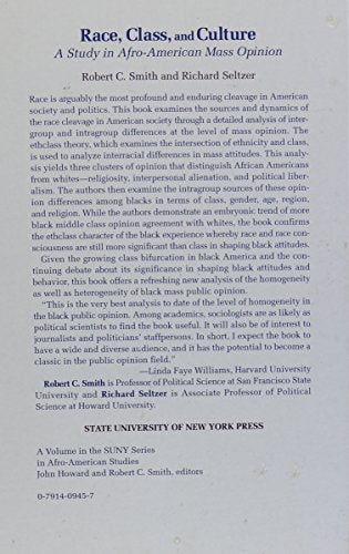 Race, Class, and Culture: A Study in AfroAmerican Mass Opinion (Suny Series in Afroamerican Studies),Used