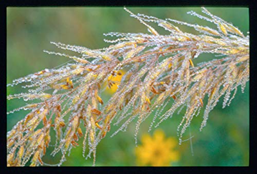 Wild Ohio: The Best of Our Natural Heritage,Used