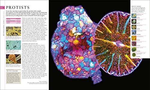 Natural History (Dk Definitive Visual Encyclopedias),New