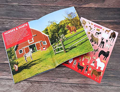 Discovery Real Life Sticker and Activity Book: Pets (Discovery Real Life Sticker Books),Used